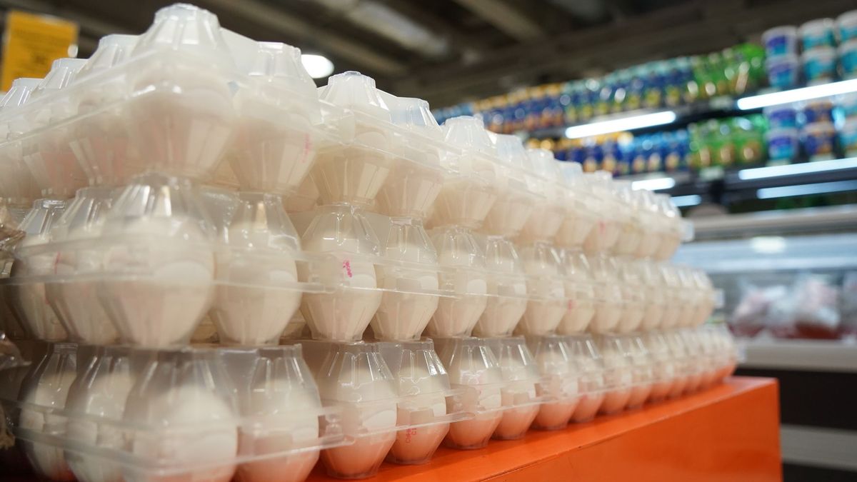 тауық жұмыртқасы