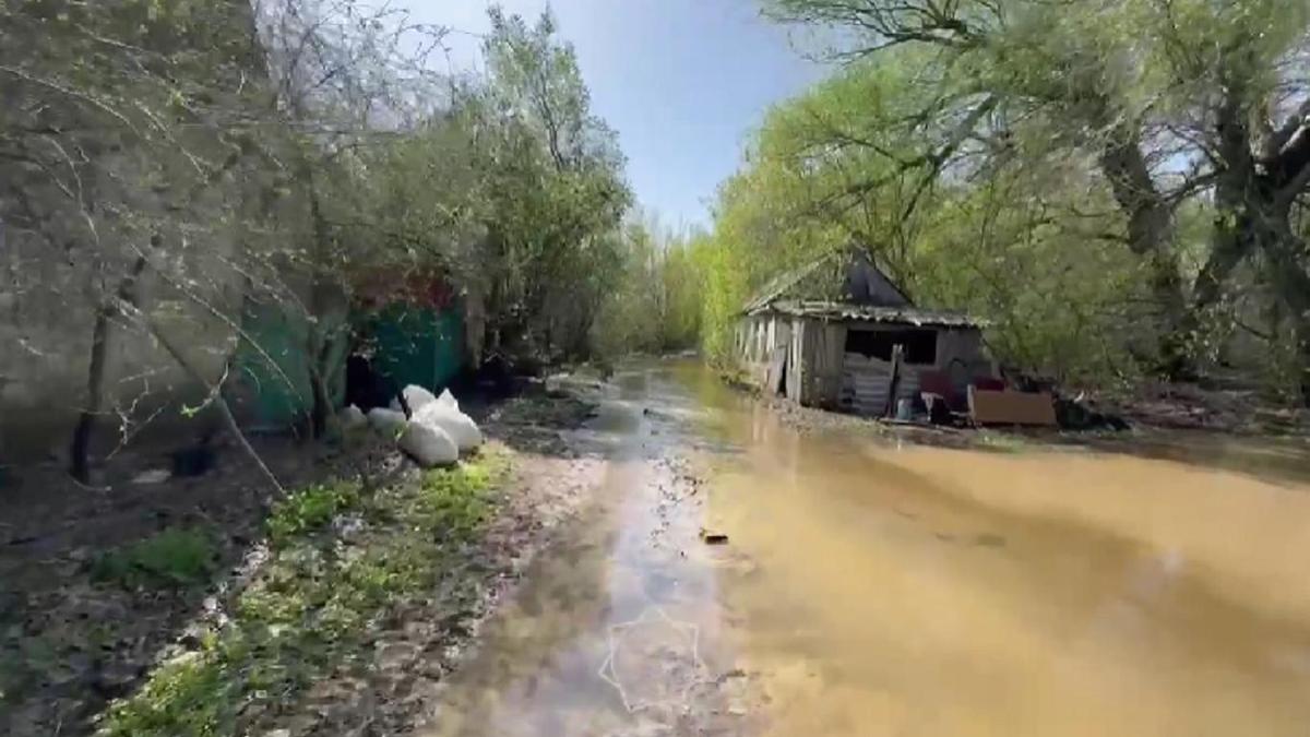 Река затапливает дачный массив