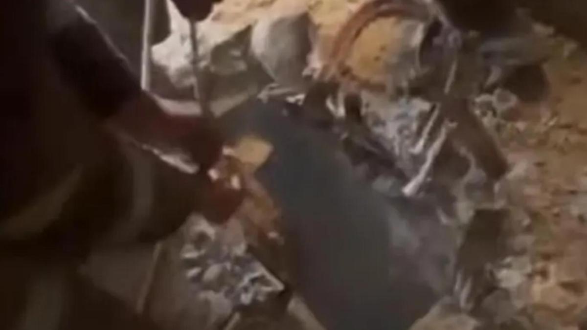 Баланы құтқару сәті