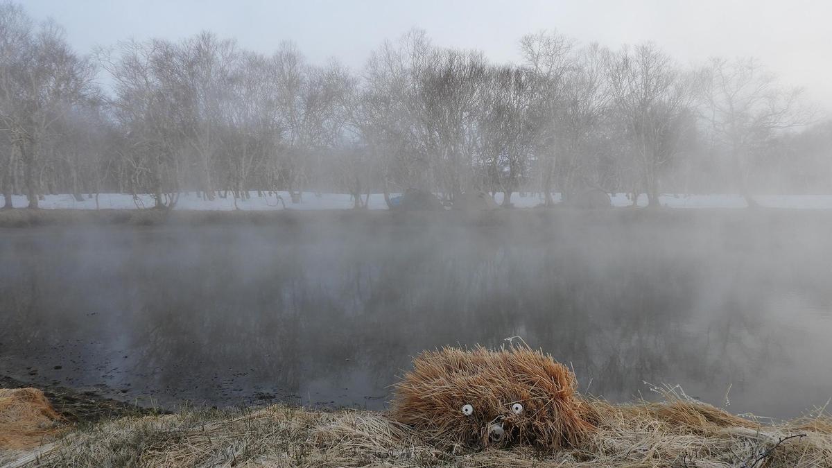 Туман на берегу водоема