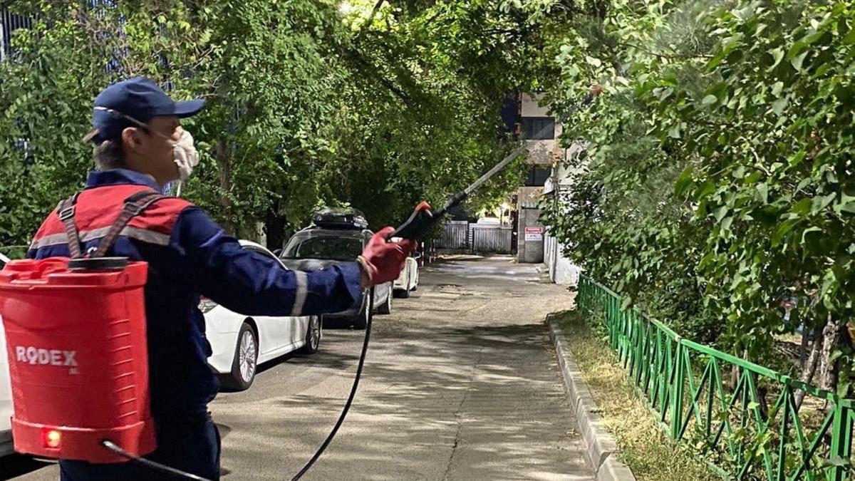 Обработка деревьев в Алматы Обработка деревьев в Алматы