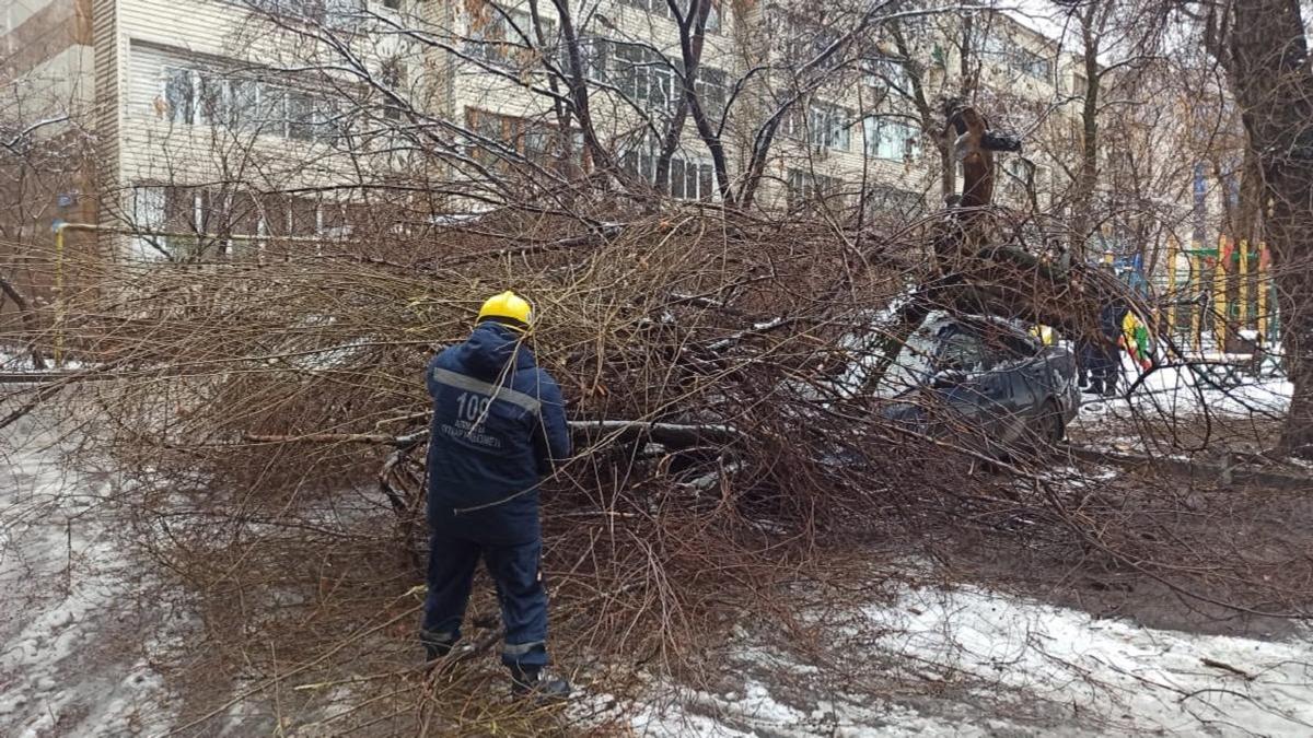 Дерево упало на авто