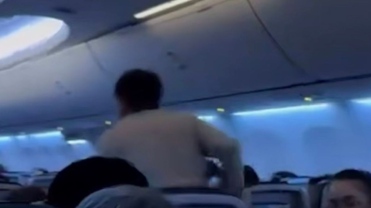 Пассажир самолета