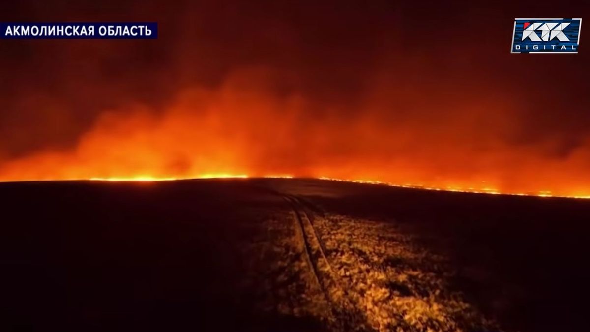 Природный пожар