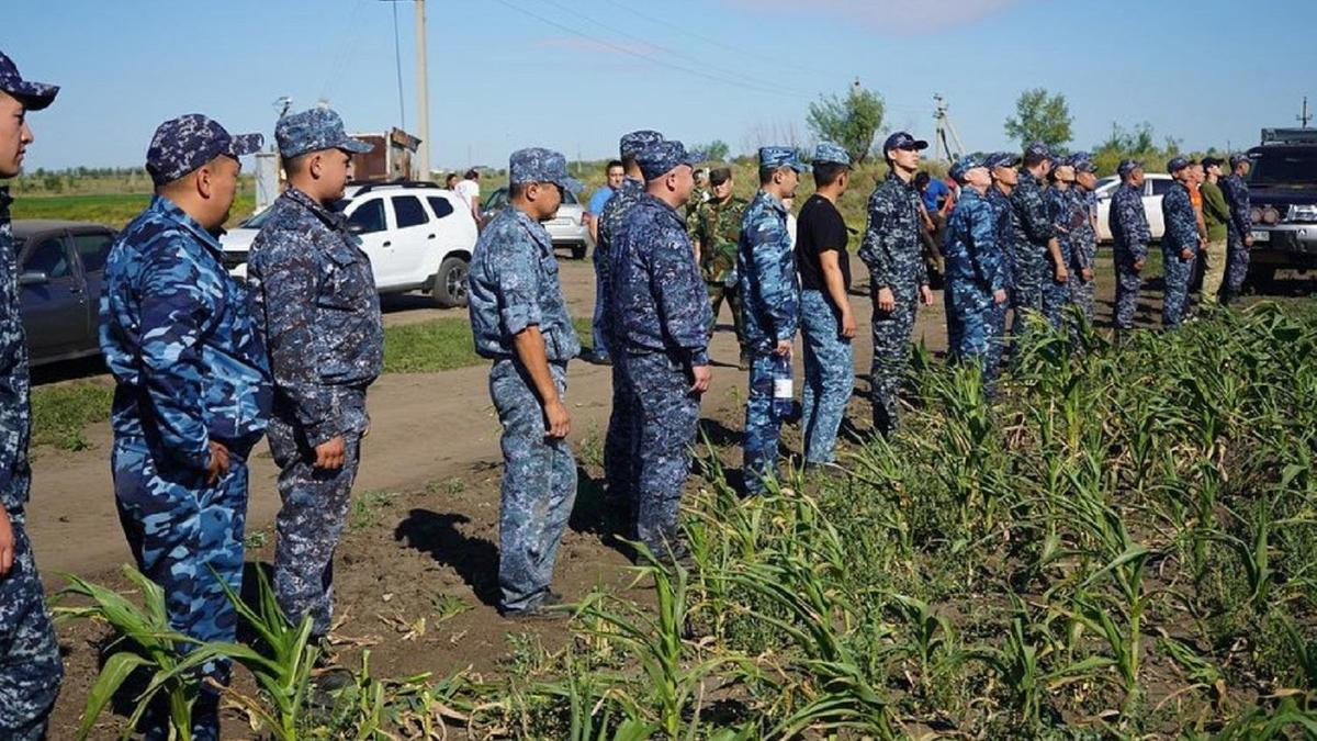 5 жасар қызды іздеу әлі жалғасуда