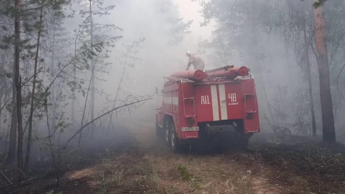 Абай облысындағы орман өрті Абай облысындағы орман өрті