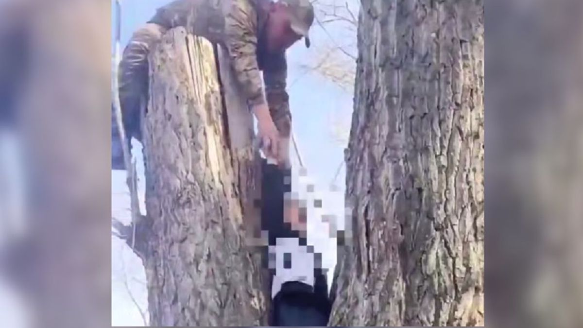 Ребенок застрял на дереве в области Абай: в ситуацию пришлось вмешаться спасателям