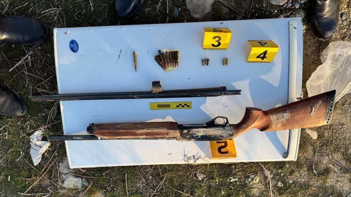 Украденное оружие