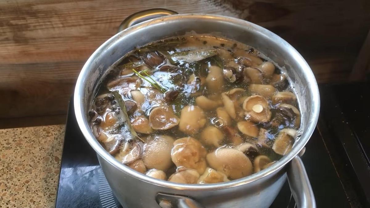 Маслята отварены в маринаде