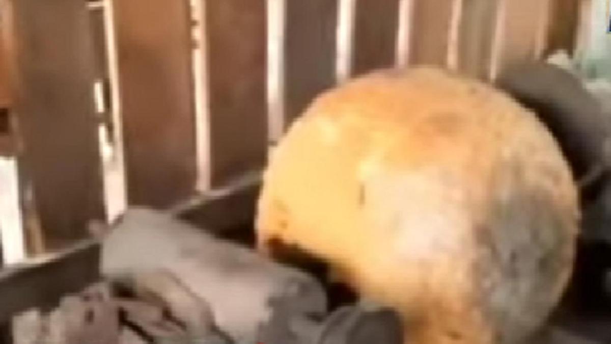 Бағалы металдар Бағалы металдар