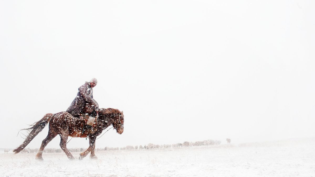 боранды күн