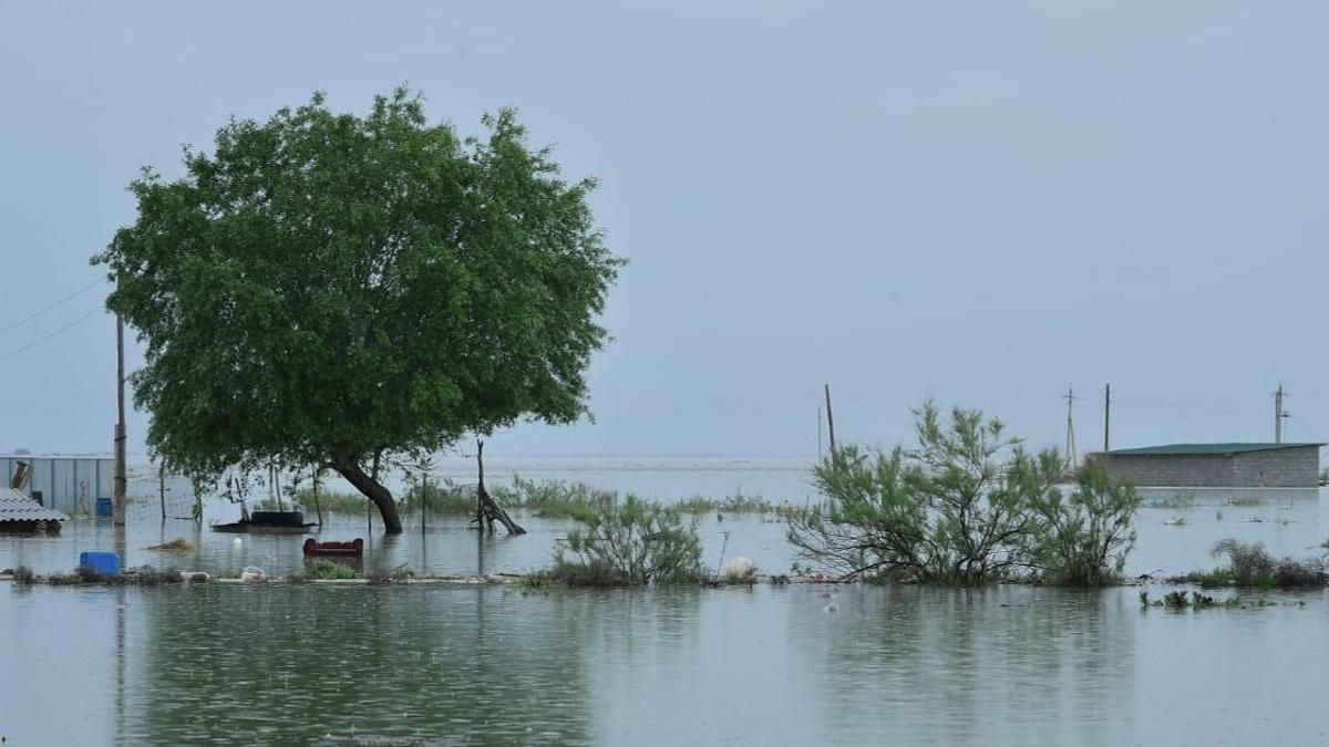 Прорыв дамбы в Узбекистане: более 600 домов ушли под воду в Мактааральском районе