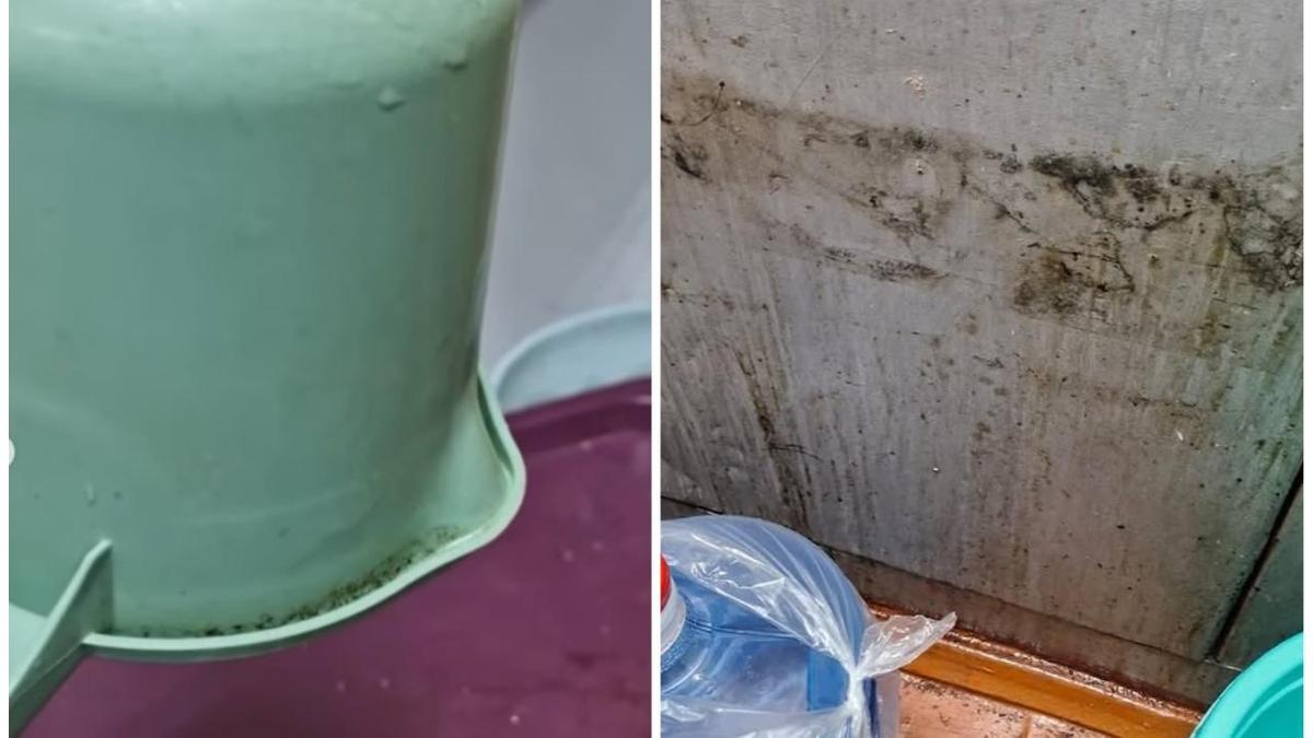 Состояние столовой