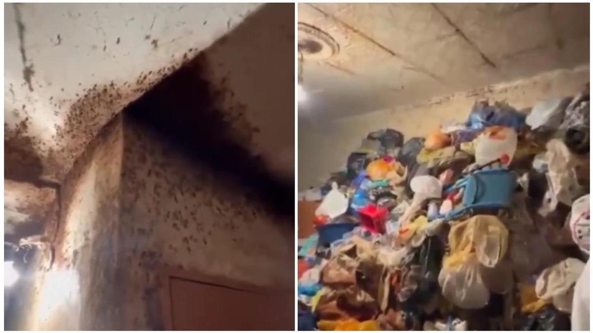 Мусор и тараканы в квартире