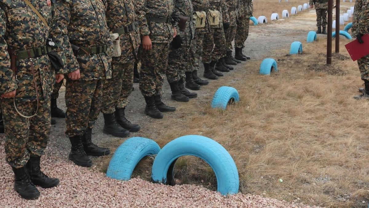 Военнослужащие стоят в ряд