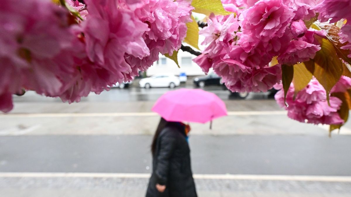 жаңбырлы күн