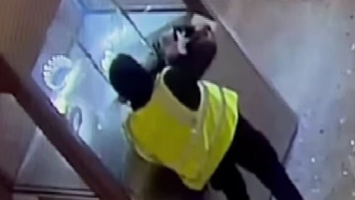 Ограбление Лувра