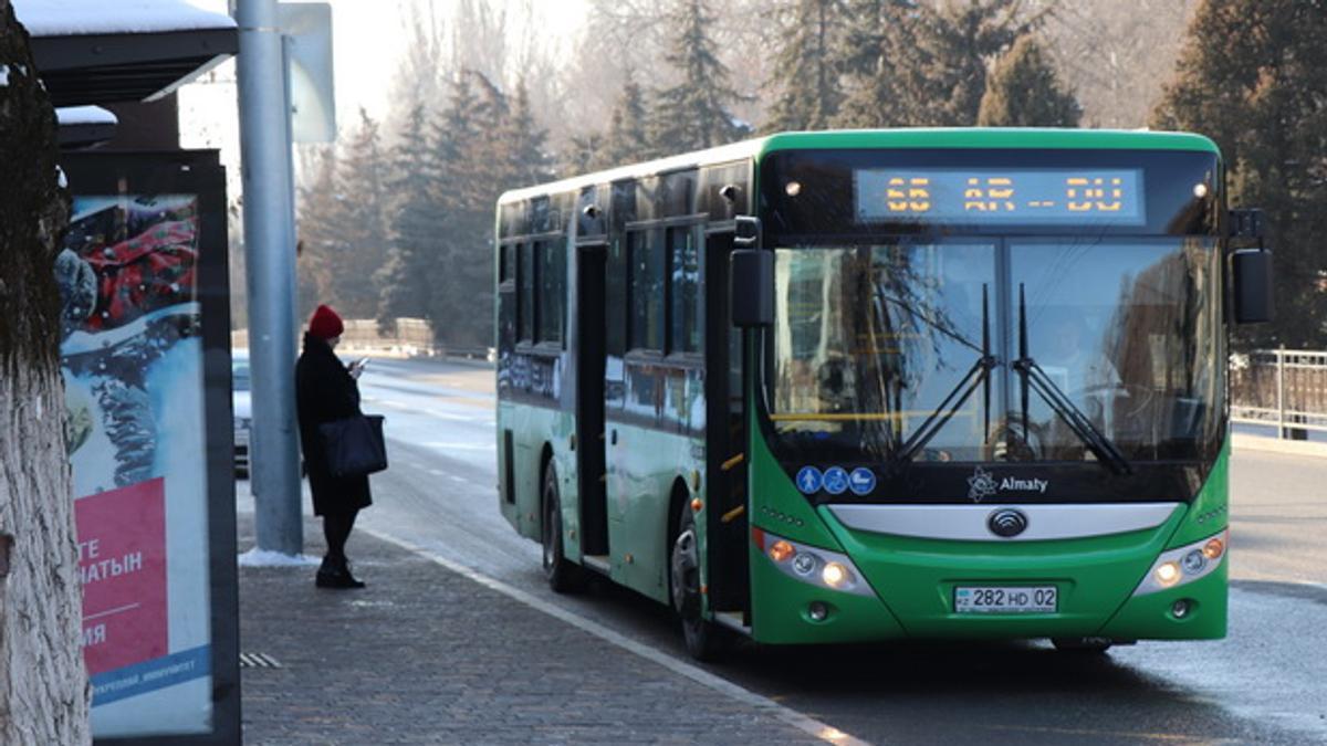 Шымкент алматы автобус. Алматы транспорт будущее. Перевозка пассажиров Запорожье зеленый автобус. Отзывы перевозчик Green Bus Украина.