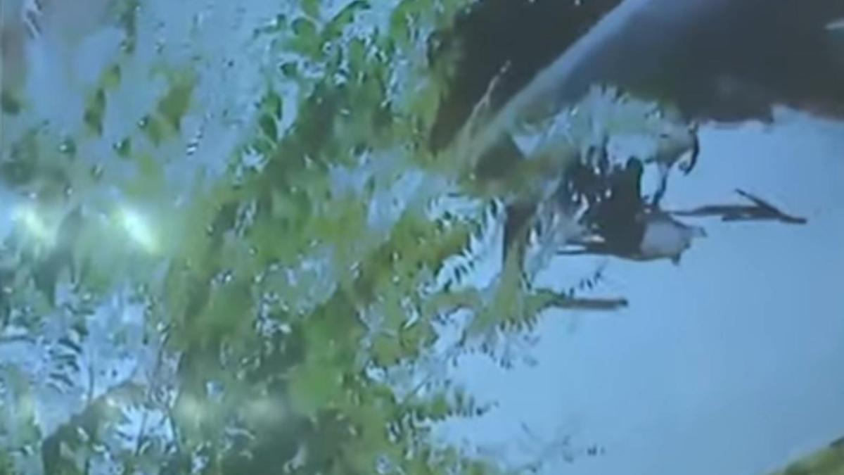 Шерзат Болат ісі Шерзат Болат ісі