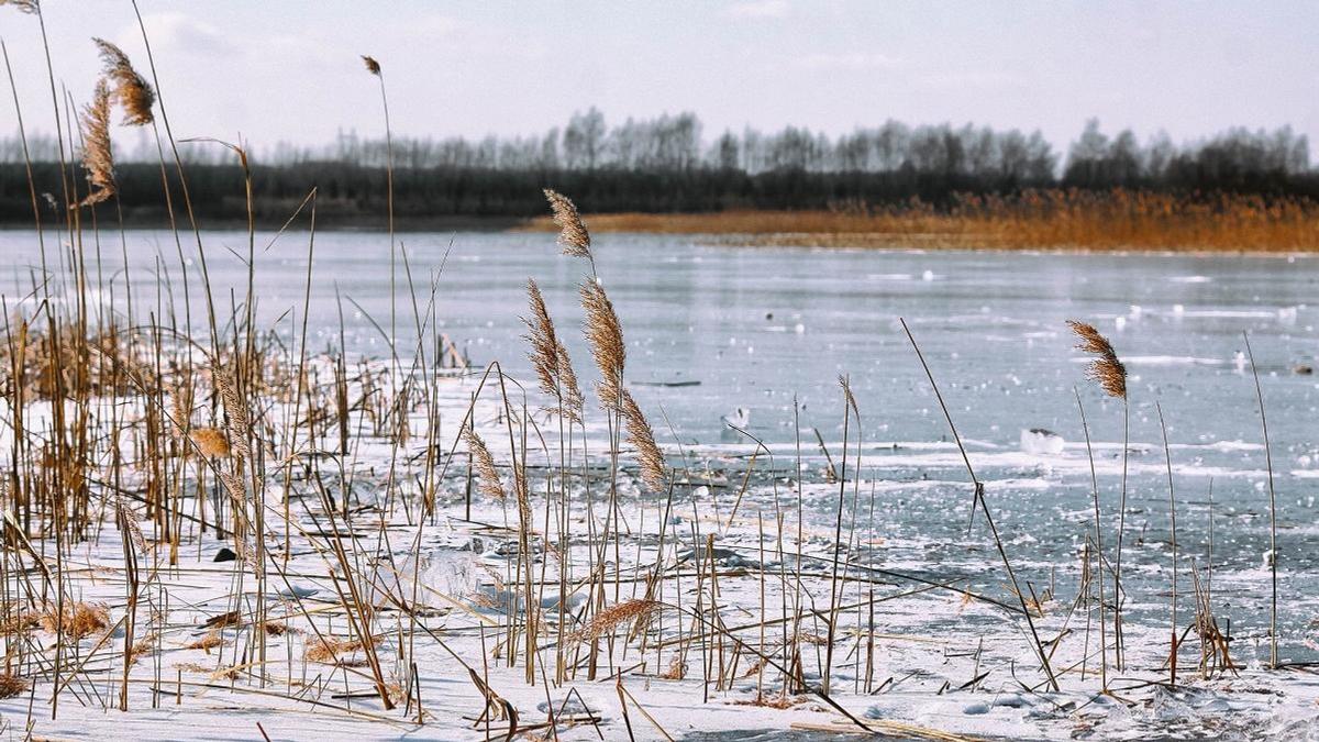 Замерзшая река