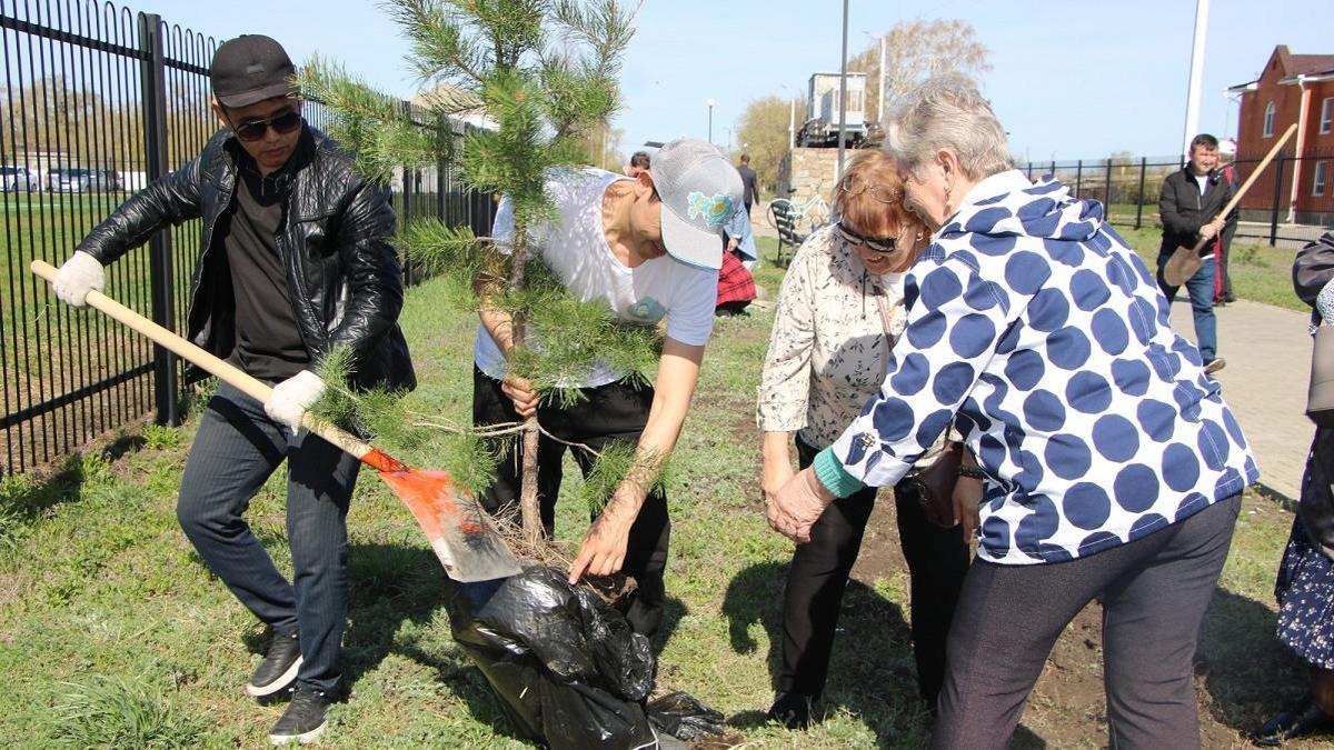 Участники экотурнира в формате плоггинга