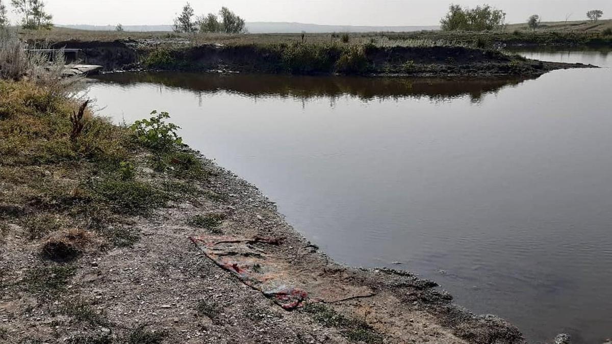 Берег водоема