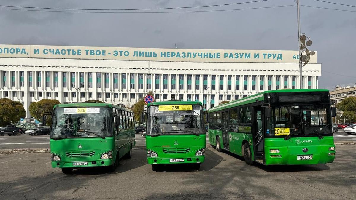 Жаңа автобустар Жаңа автобустар