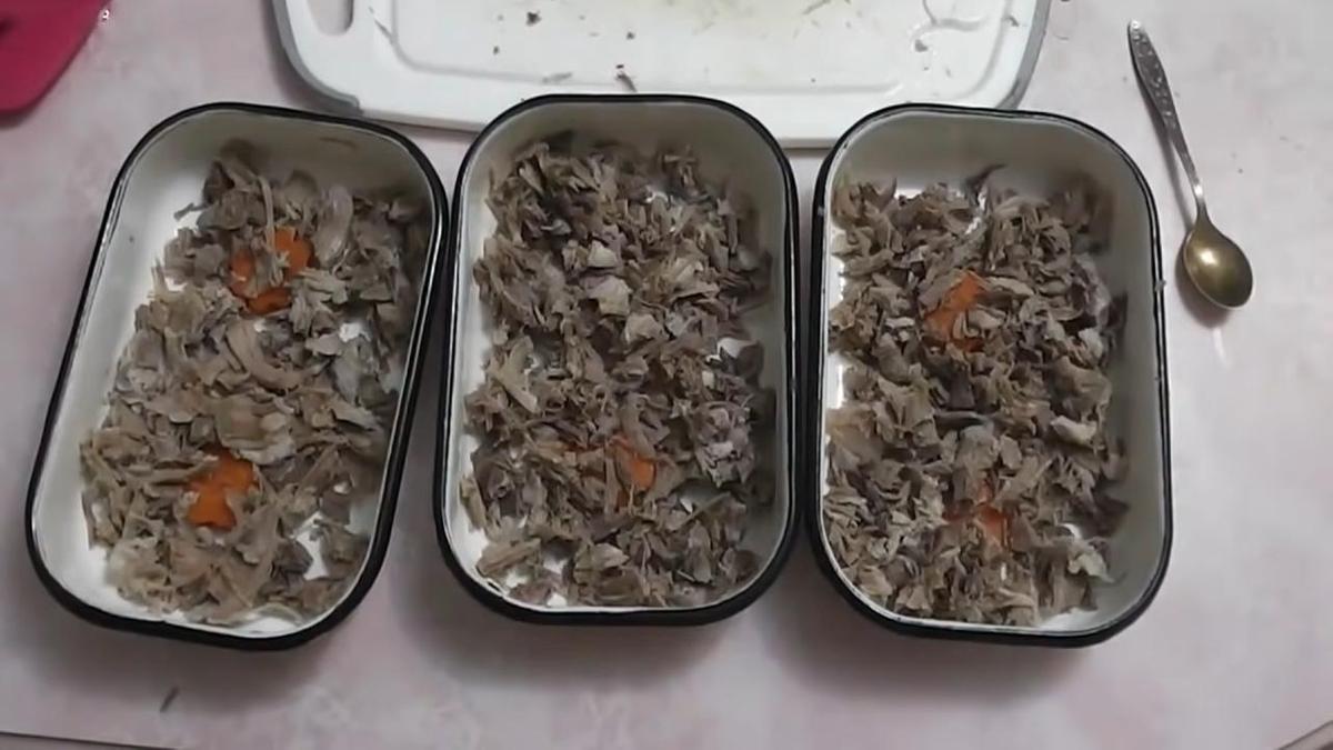 Формы с заготовками для холодца