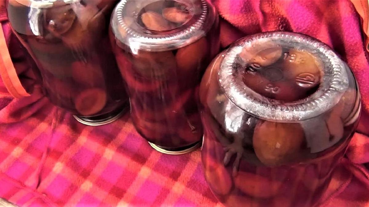 Закрытые банки с компотом на пледе