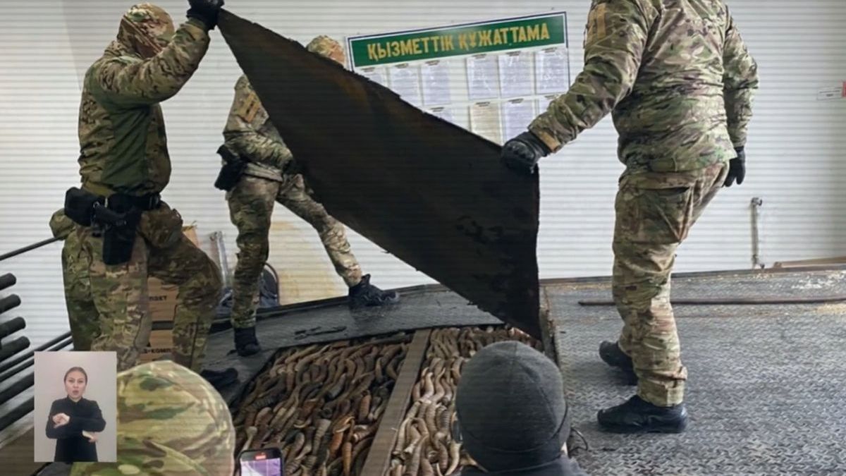 Задержание браконьеров