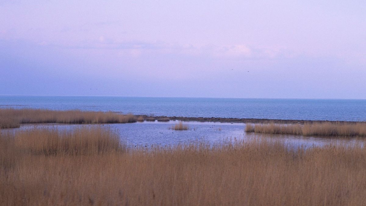 Алакөл көлі