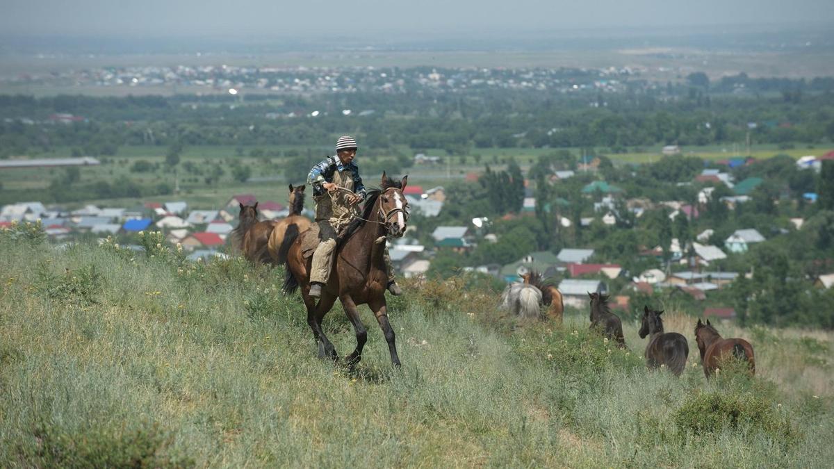 Ат мінген ер адам ауыл шетінде