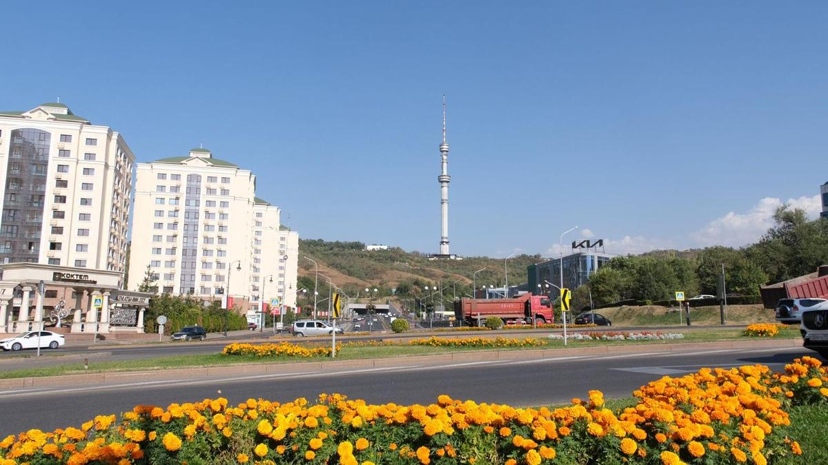 Алматы Алматы