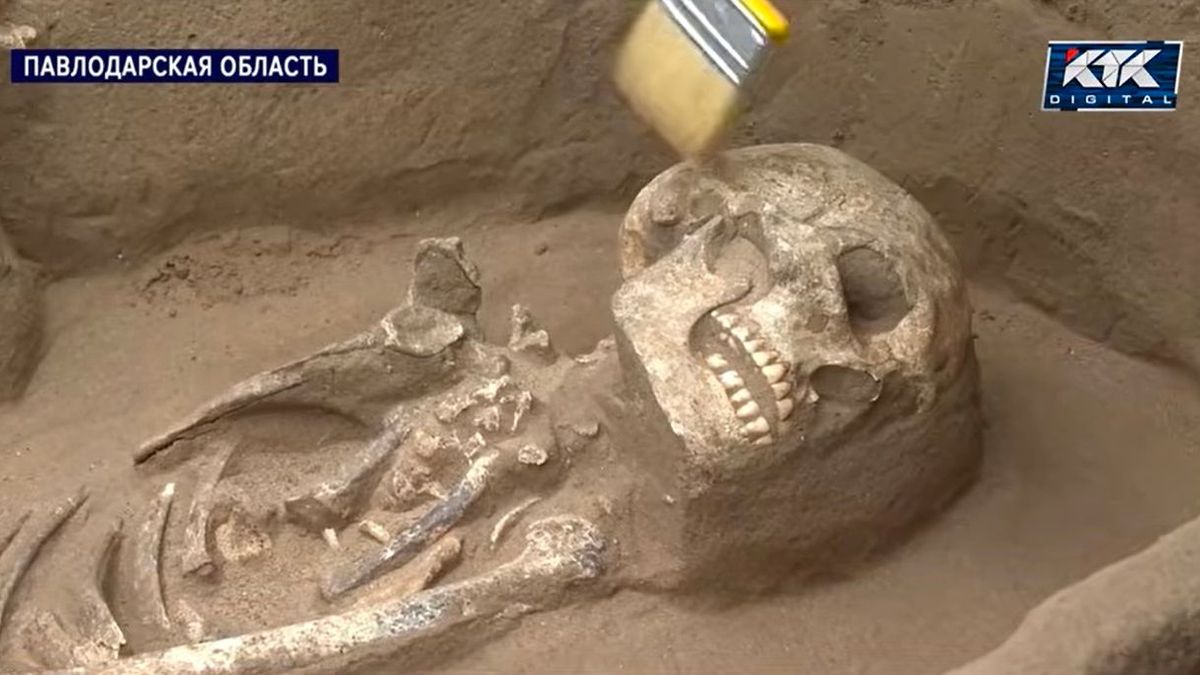 Останки древнего человека