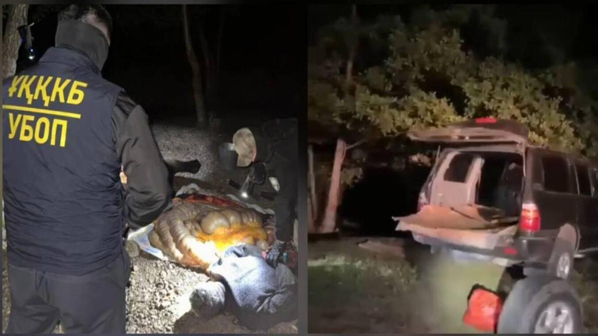 Алтын душта камминг жасайтын қыздардың порносын көру