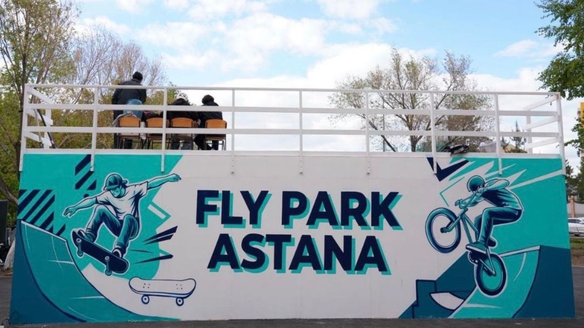 Скейт-площадка Fly Park