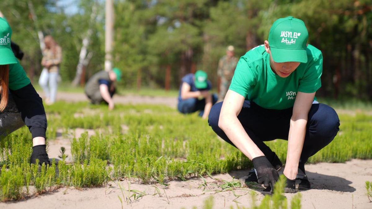 Проект "Жасыл ел"