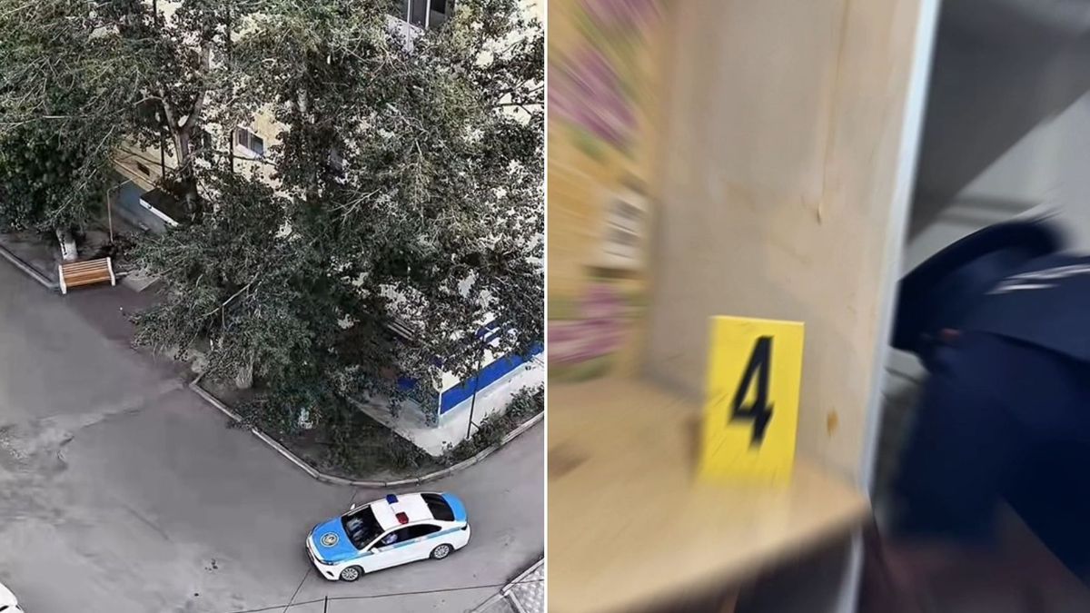 Полиция и следственные действия