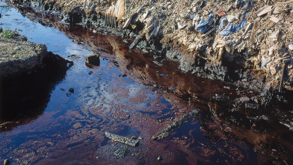 Многомиллионный ущерб нанесла стихийная свалка нефтеотходов в Павлодаре