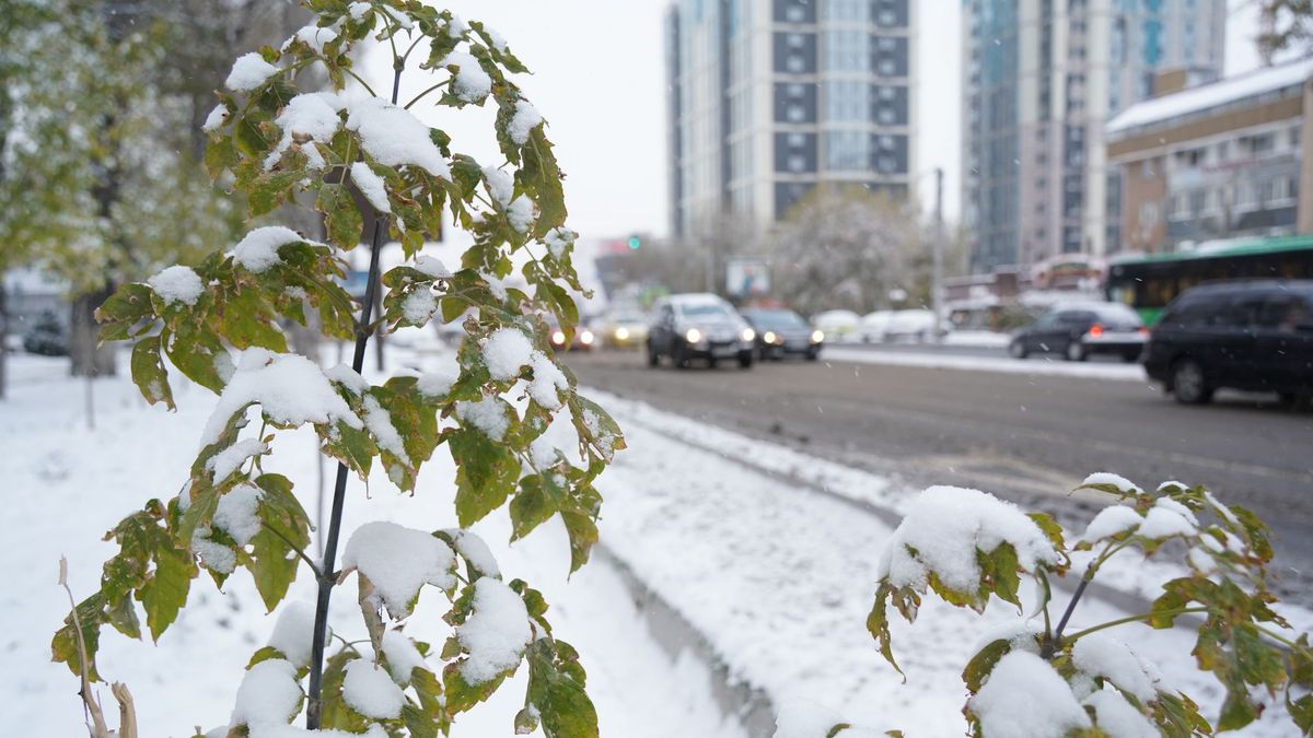 Снег в Алматы