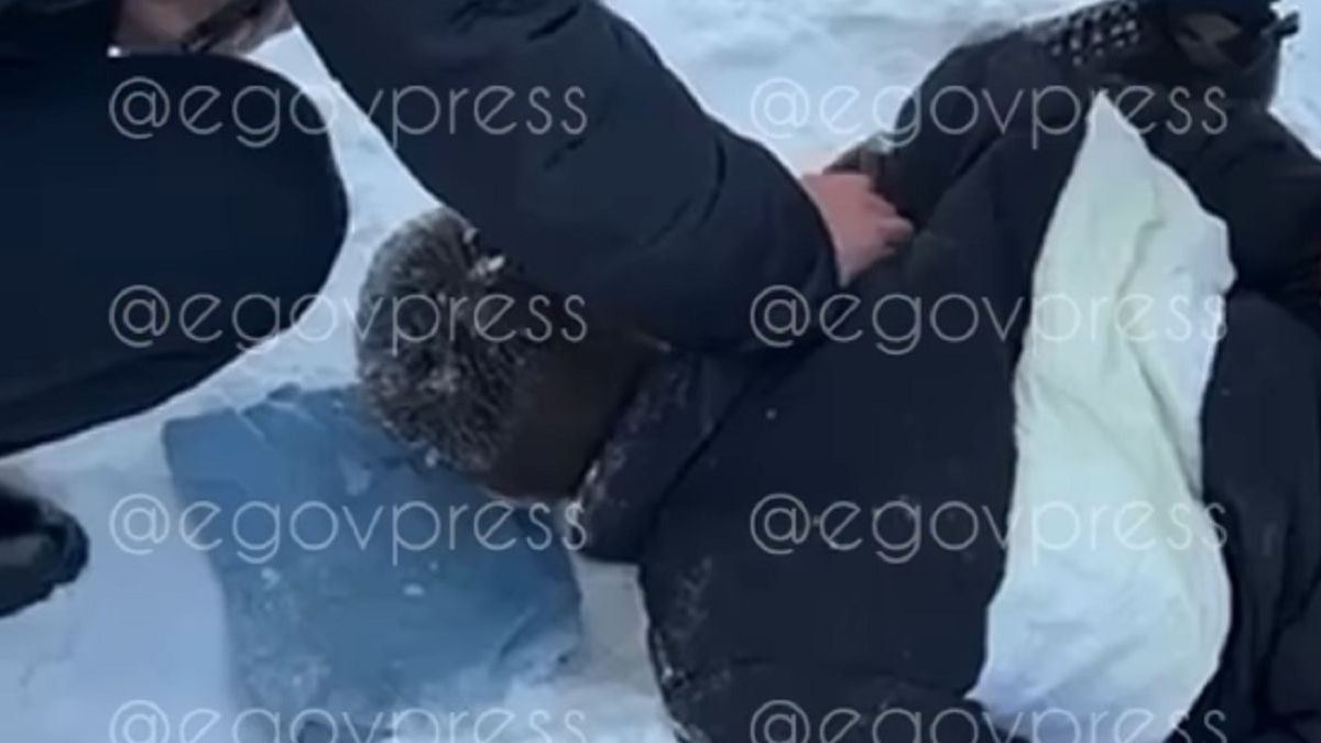 Задержание подозреваемого