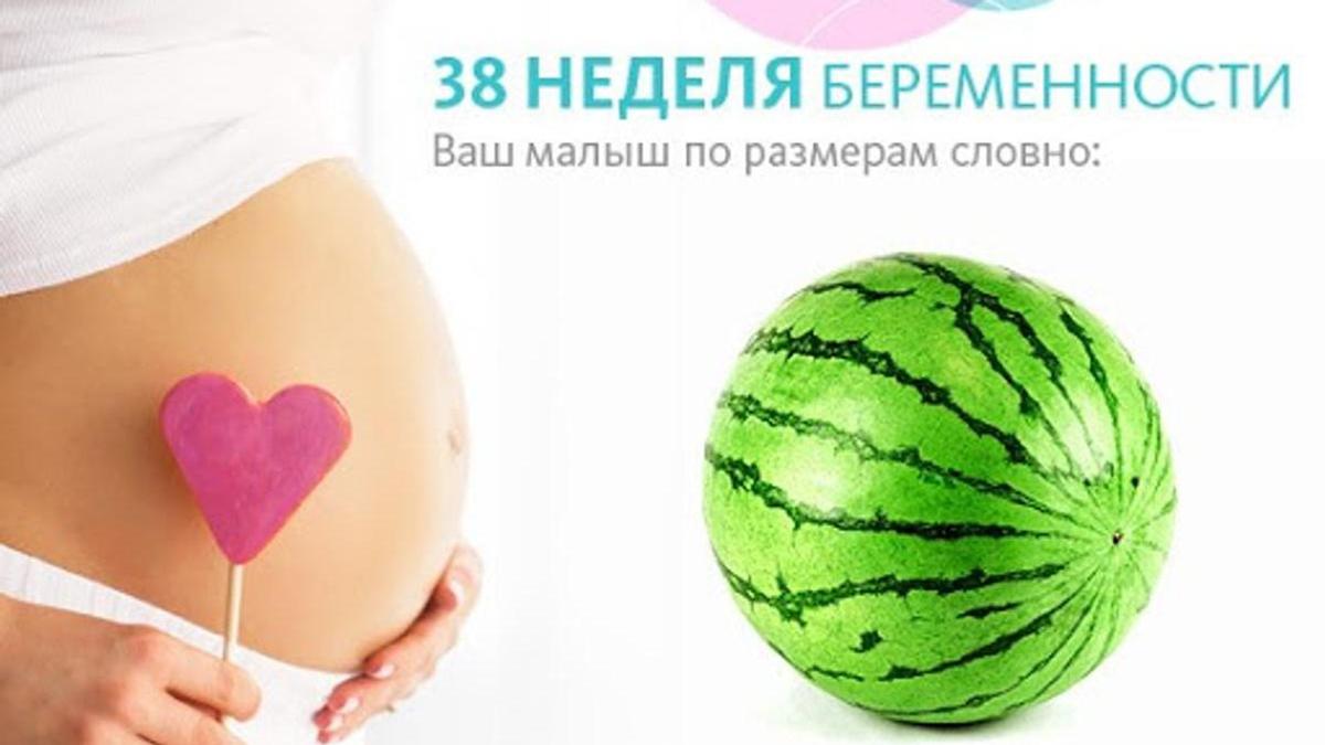 36 неделя беременности какой. Размер ребенка 38 недель. Размеры малыша на 38 неделе беременности. 38 Неделя беременности вес. Вес на 39 неделе беременности.