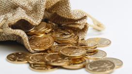 Золотые монеты в  мешке