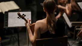 Девушка-скрипачка в оркестре
