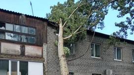 Последствия урагана