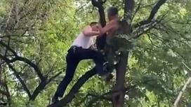 Мужчину пытаются снять с дерева