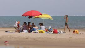Люди отдыхают под зонтиками на пляже