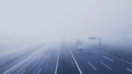 Густой туман, накрывший дорогу