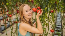 Девушка держит в руках помидоры на ветках