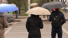 люди с зонтами идут по дороге